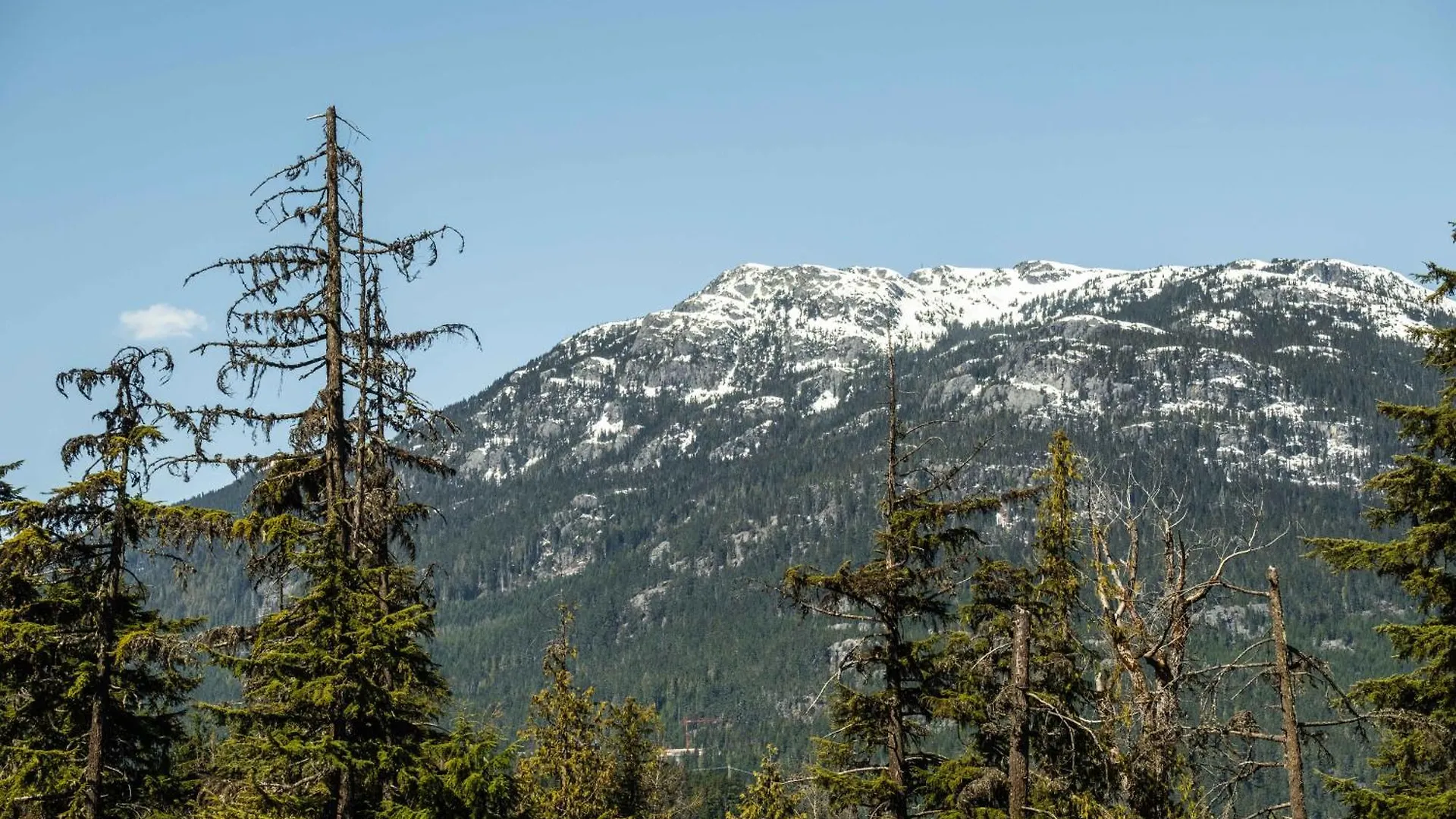 Appartement Le Chamois By Outpost Whistler